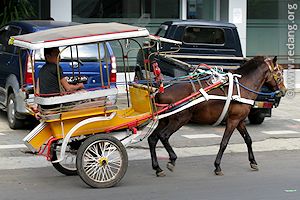 bendi horsecart
