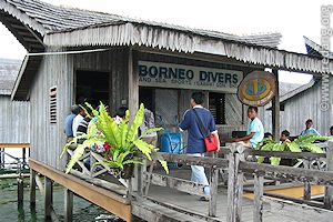 borneo divers office semporna