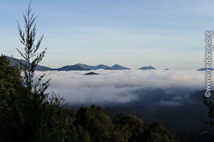 fraser hill