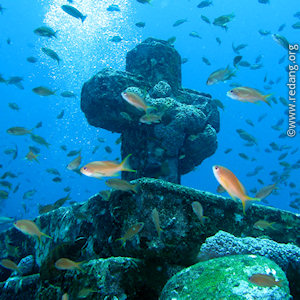 Cathedral dive site