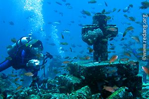 cathedral divesite