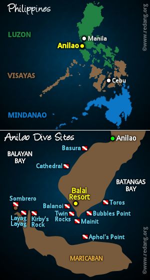 anilao location