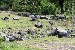 volcanic boulders