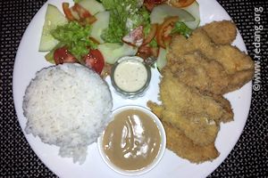 chicken schnitzel