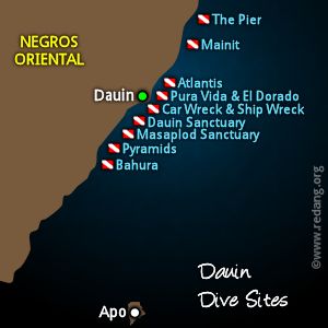 dauin dive sites