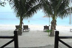 room view