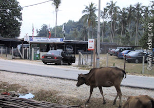 merang car park