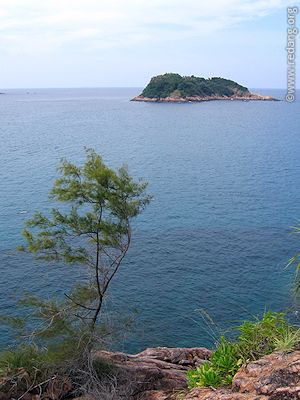 pulau paku kecil
