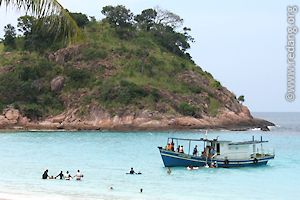 shark bay