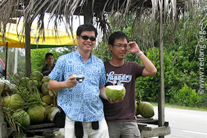 coconut stall