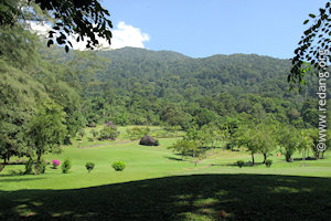 tioman golf course