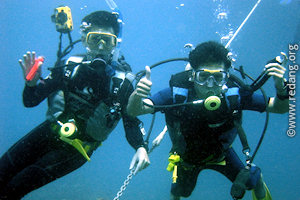 dive training