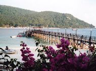dayang 2002
