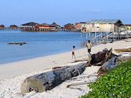 mabul 2003