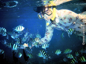 feeding at the marine park